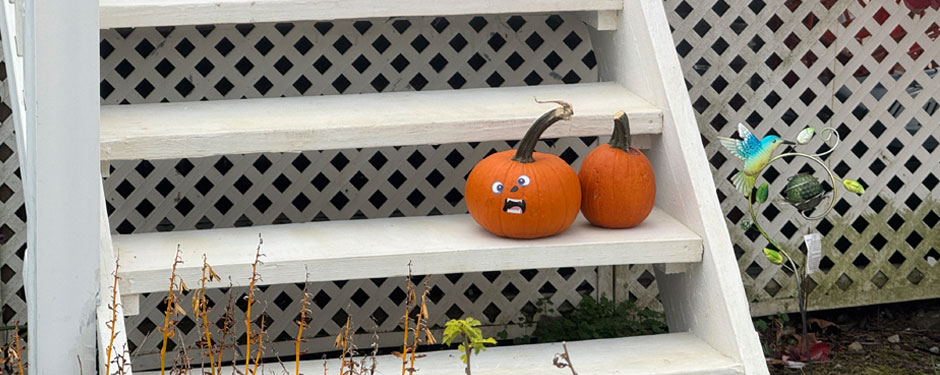 CH-Home-Page-Images.1509