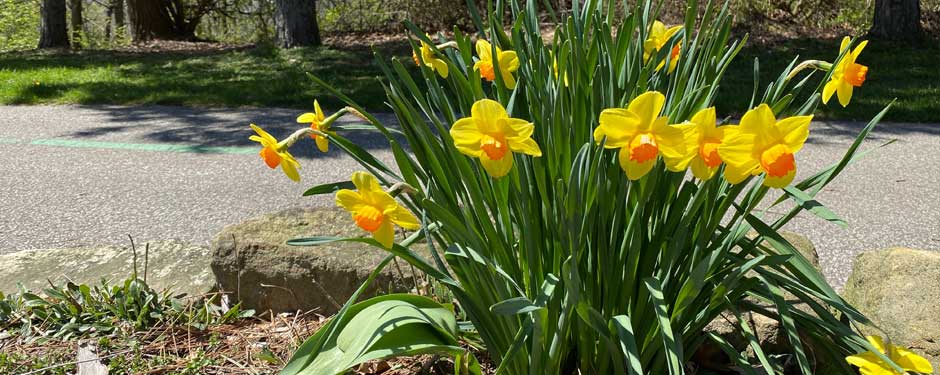 CH-Home-Page-Images.1010